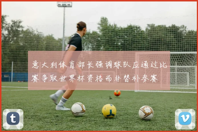 意大利体育部长强调球队应通过比赛争取世界杯资格而非替补参赛