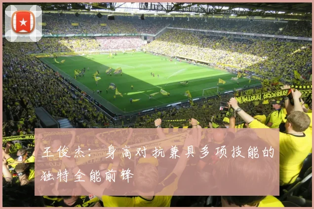 王俊杰：身高对抗兼具多项技能的独特全能前锋